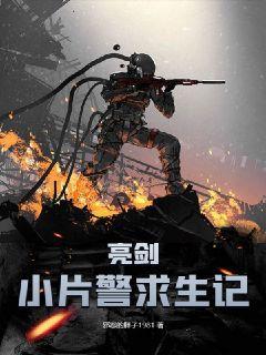 亮剑:小片警求生记