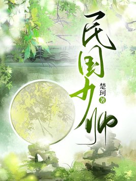民国少帅电视剧