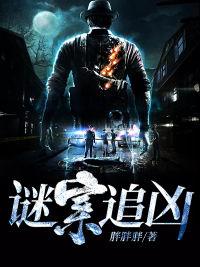 谜案追凶电影剧情介绍
