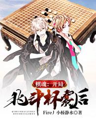 棋魂开局北斗杯赛后