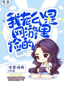 我老公是网游里捡的 小说