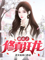 都市修真狂龙叶枫