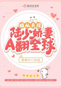 陆少偏要以婚