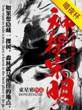神探宋明小说免费
