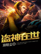 盗神盗王盗帅
