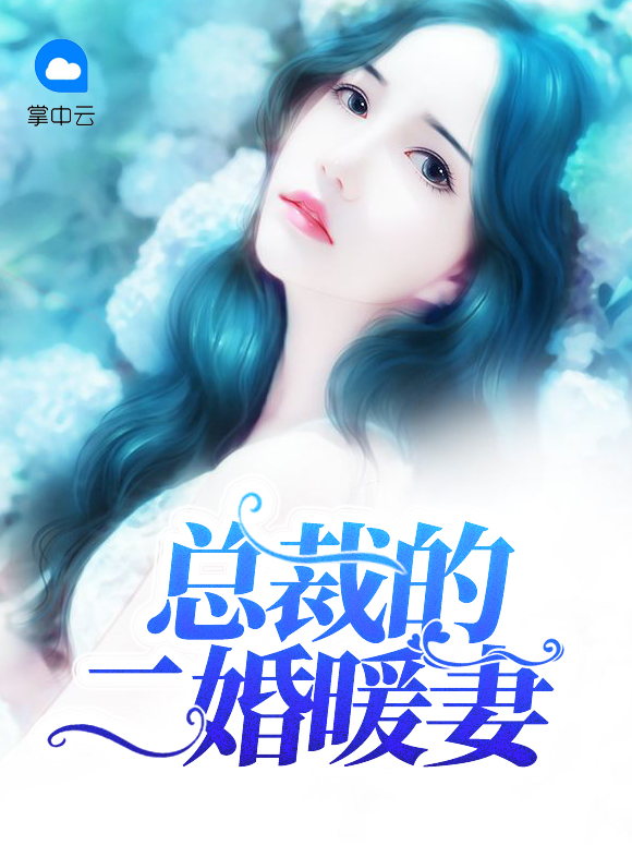总裁的二婚老婆
