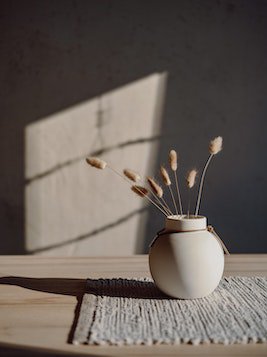 我的合租室友电视剧什么时候上映