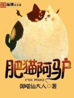 大肥猫阿发