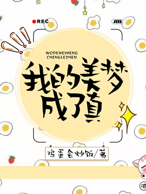 我的美梦成了真的小说
