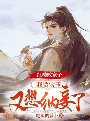 红楼败家子:我贾宝玉,又想纳妾了TXT下载