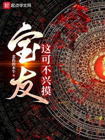 宝友,这可不兴小说