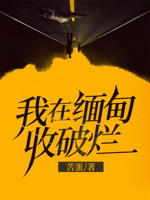 我在缅甸挖矿