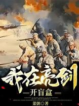 我在亮剑开盲盒 小说