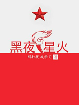 黑夜里的星火