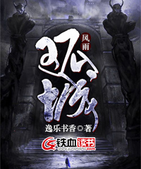风雨孤城一共多少集电视剧啊
