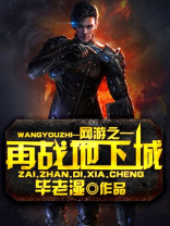 网游之王者再战 小说