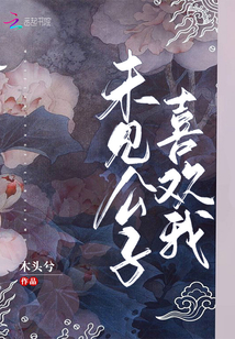 未见公子喜欢我