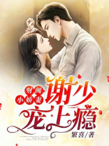 财阀小娇妻:谢少宠上瘾免费阅读