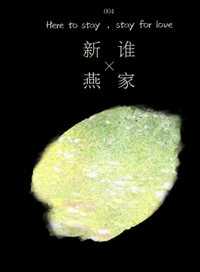 是谁家新燕TXT下载