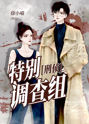 特别调查组刑侦 小说