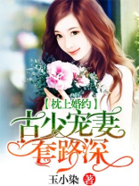 《纸上婚约:古少宠妻套路深》 作者:玉小染