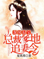 龙凤双宝:总裁爹地追妻令