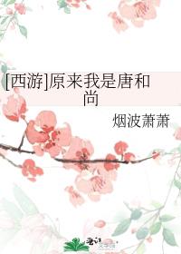 原来我是唐和尚 小说
