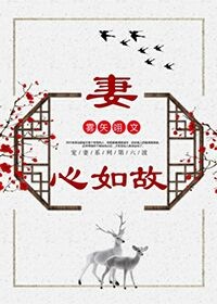 妻心如故小说