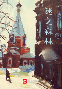 迷之森林——鸟