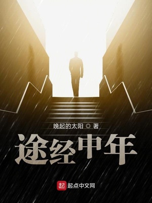 在中年里行走一段话