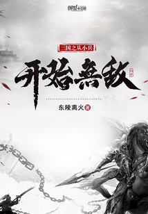 三国之从小兵开始无敌 这小说写的怎么样