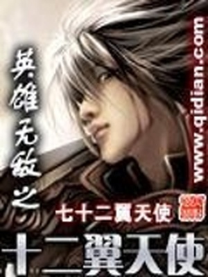 英雄无敌之十二翼天使小说