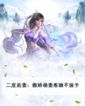 二度追妻：傲娇萌妻难缠不放手
