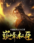 巅峰权臣