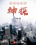 来自未来的神探