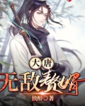 大唐无敌赘婿