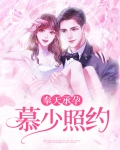 奉天承孕：慕少照约