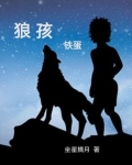 狼孩铁蛋有声书