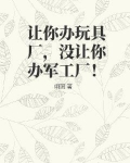 让你办玩具厂，没让你办军工厂！
