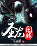 圣龙图腾