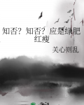知否?知否?应是绿肥红瘦