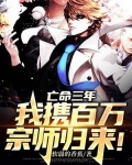 亡命三年，我携百万宗师归来！