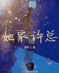 她家许总 小说