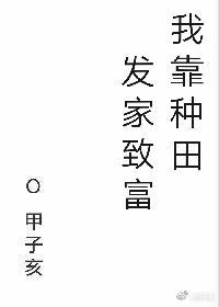 我靠种田发家致富小说甲子亥