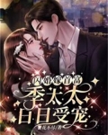 闪婚嫁首富，季太太日日受宠