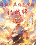 海贼：草帽团里的机械师