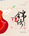 一寸锦绣