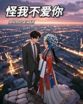 怪我不爱你是你的决定歌词是什么意思