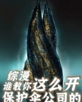 保护伞公司类小说