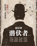 最后的潜伏者（上）